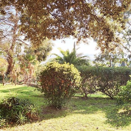 La Suite Costabella A Hyeres-Les-Palmiers Ngoại thất bức ảnh