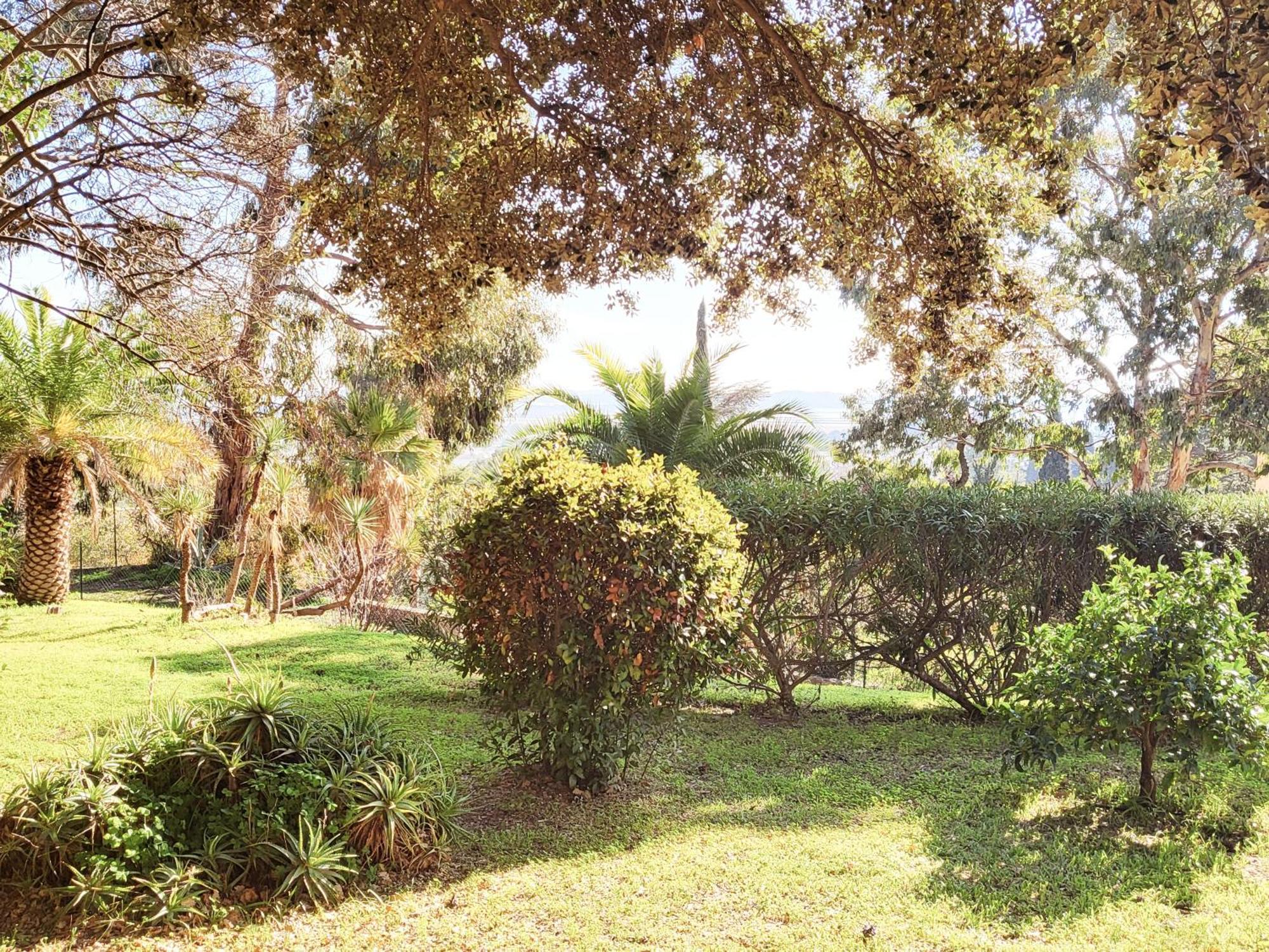 La Suite Costabella A Hyeres-Les-Palmiers Ngoại thất bức ảnh